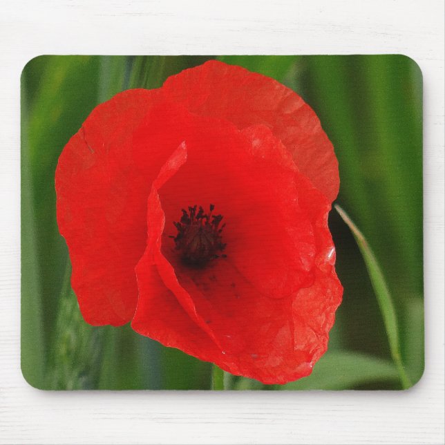 Tapis De Souris Pavot (Devant)