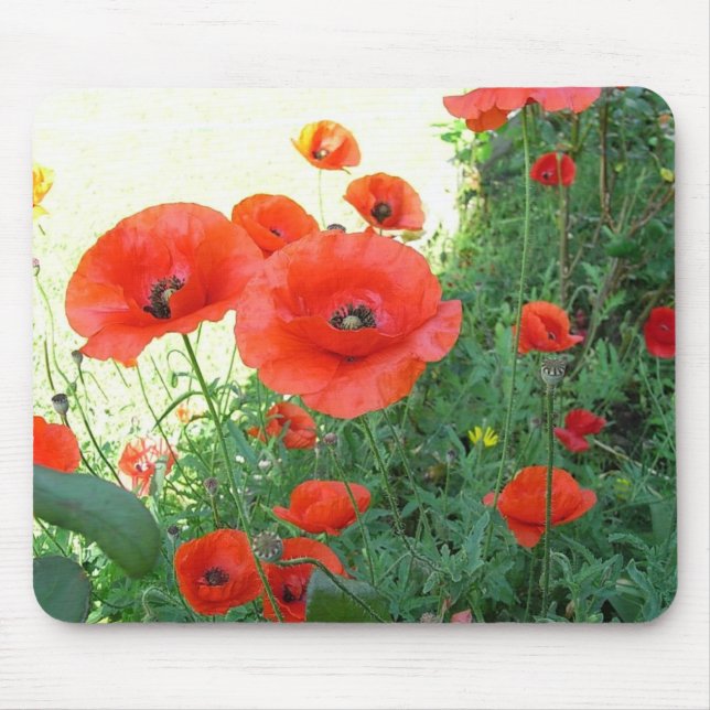 Tapis De Souris Pavot (Devant)
