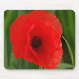 Tapis De Souris Pavot