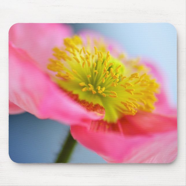 Tapis De Souris Pavot rose (Devant)