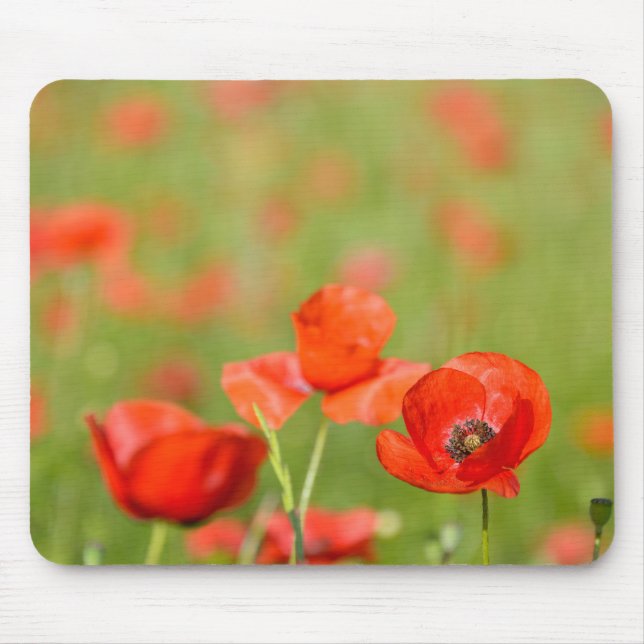 Tapis De Souris Pavots dans un mousepad de champ de pavot (Devant)