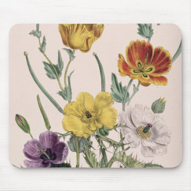 Tapis De Souris Pavots et anémones (Devant)