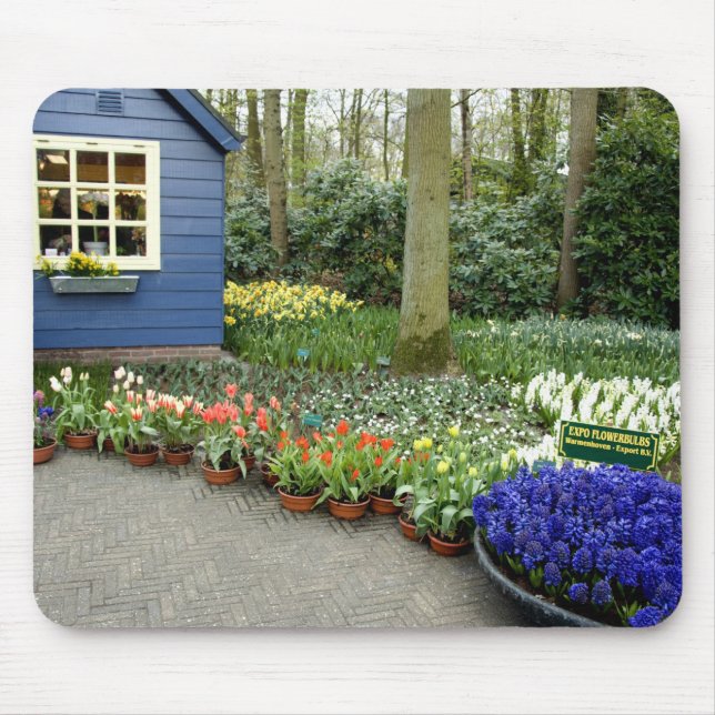 Tapis De Souris Pays-Bas aka Holland), Lisse. Keukenhof 11 (Devant)