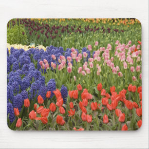 Tapis De Souris Pays-Bas aka Hollande), Lisse. Keukenhof 8