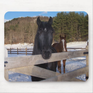 TAPIS DE SOURIS PAYS DE CHEVAL