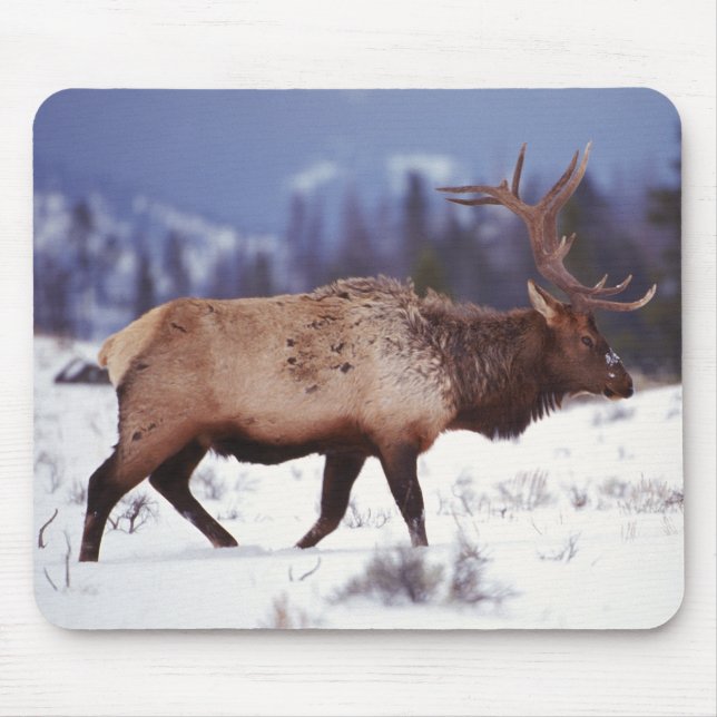 Tapis De Souris Pays du cerf (Devant)