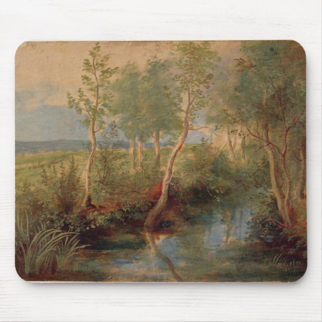 Tapis De Souris Paysage 2 (Devant)