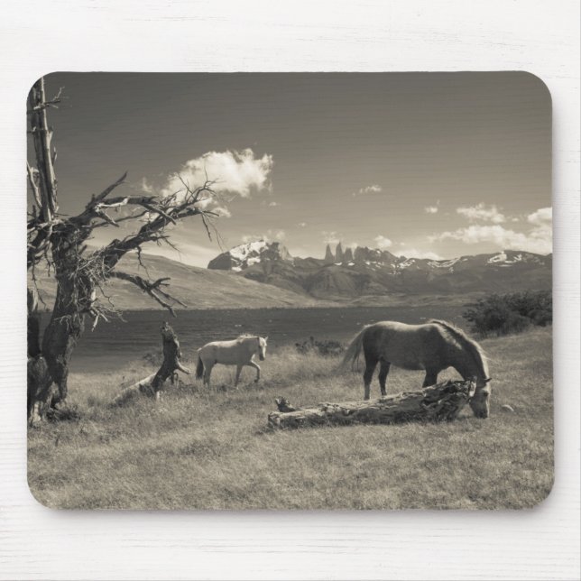 Tapis De Souris Paysage avec chevaux (Devant)