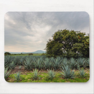 Tapis De Souris Paysage avec l'agave bleu