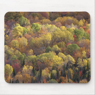Tapis De Souris paysage d'automne, Vermont, États-Unis 2
