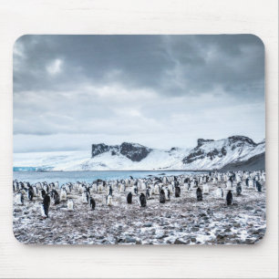 Tapis De Souris Paysage de colonie de pingouin de jugulaire