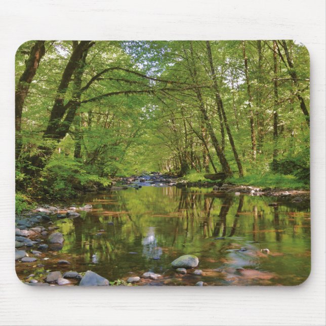 Tapis De Souris Paysage de la rivière Wilson (Devant)