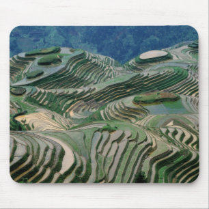 Tapis De Souris Paysage de rizières en terrasses dans la montagne,
