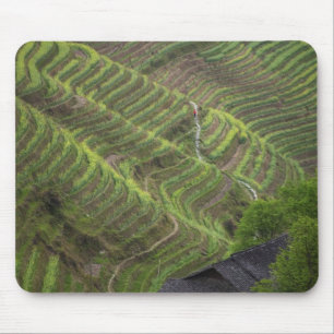 Tapis De Souris Paysage de rizières en terrasses dans la montagne,