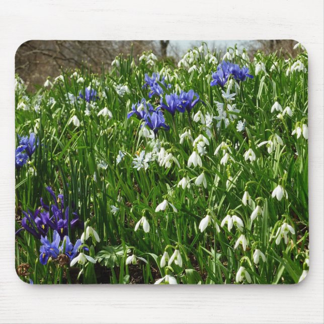 Tapis De Souris Paysage des fleurs du début du printemps (Devant)