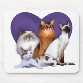 Tapis De Souris PCBR Mousepad !