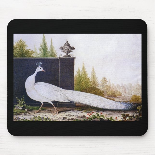 Tapis De Souris Peacock blanc (Devant)