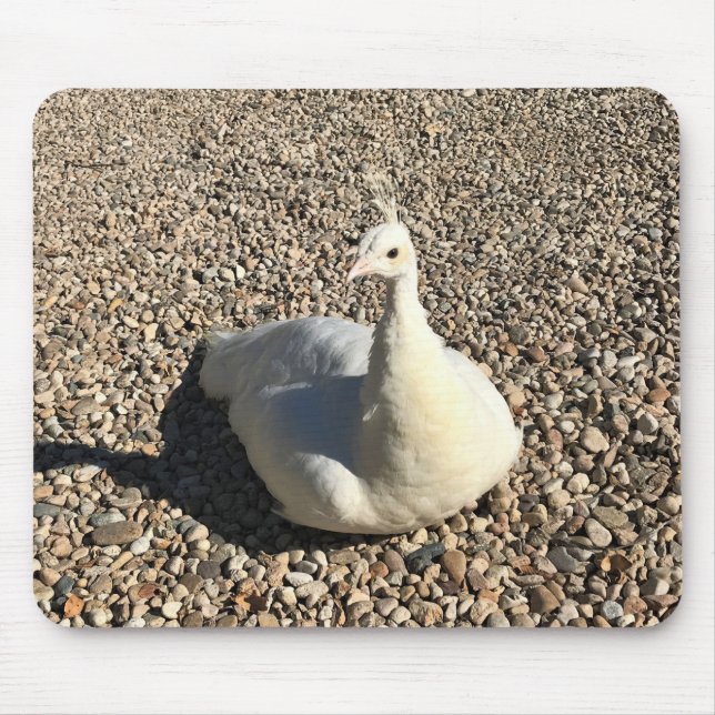 Tapis De Souris Peacock Blanc, Idaho (Devant)