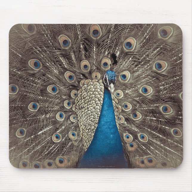 Tapis De Souris Peacock bleu antique (Devant)