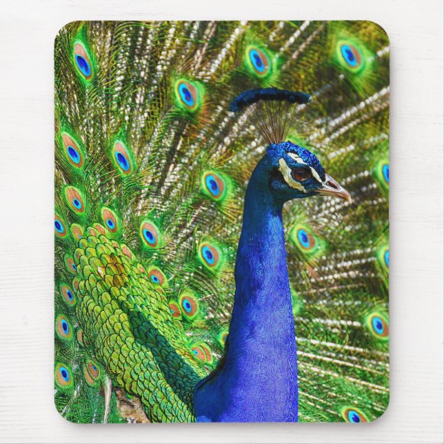 Tapis De Souris Peacock Bleu brillant (Devant)
