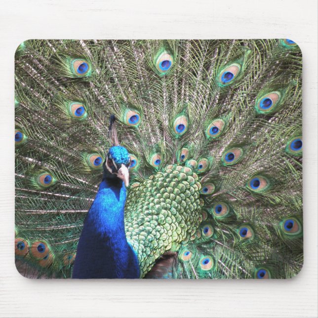 Tapis De Souris Peacock Mousepad (Devant)