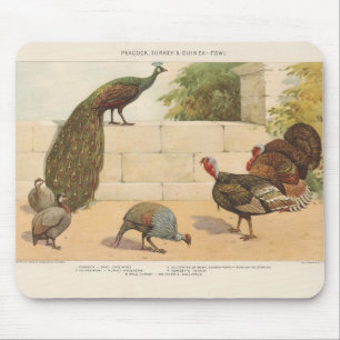 Tapis De Souris Peacock, Turquie & Guinée Fowl