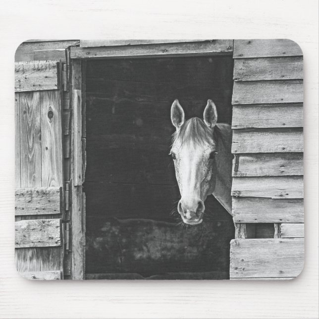 Tapis De Souris Peekaboo Gray Mare Horse (Devant)