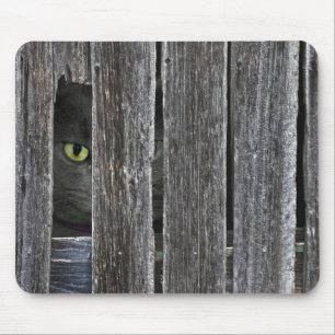 Tapis De Souris Peepin Tom