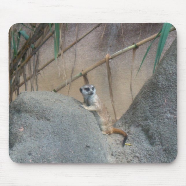 Tapis De Souris Peerkat Meerkat (Devant)