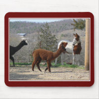 Peignez l'alpaga Mousepad de cheval