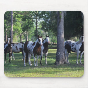 Tapis De Souris Peignez les chevaux dans les arbres