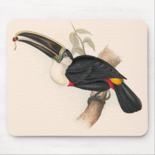 Tapis De Souris Peinture animalière d'antiquités Toucans