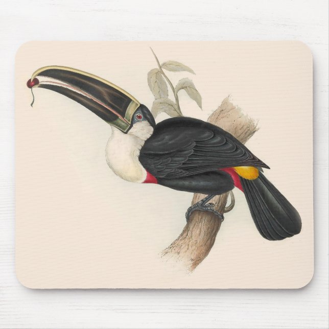 Tapis De Souris Peinture animalière d'antiquités Toucans (Devant)