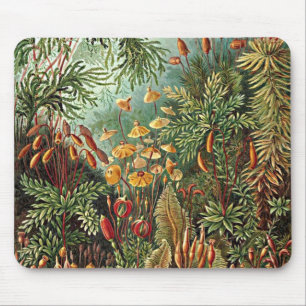 Tapis De Souris Peinture de la mousse de Haeckel, de l'herbe et de