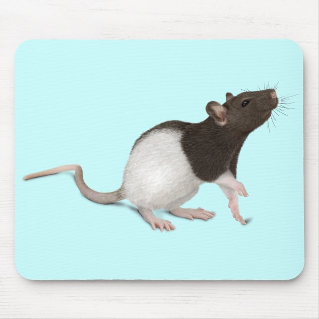 Tapis De Souris Peinture de rat pour animaux (Devant)
