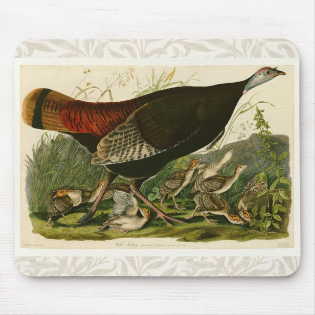 Tapis De Souris Peinture d'oiseaux sauvages de Turquie Audubon (Devant)