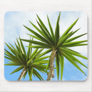 Tapis De Souris Peinture Effet Photo de Feuilles de Palmier Yucca