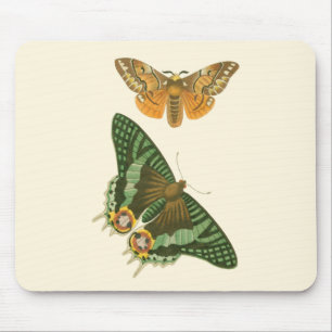 Tapis De Souris Peinture légèrement encadrée de papillon