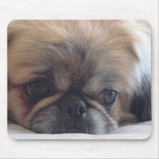 Tapis De Souris Pekingese