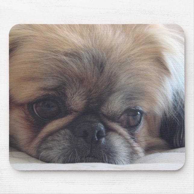 Tapis De Souris Pekingese (Devant)