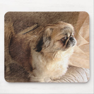 Tapis De Souris Pekingese
