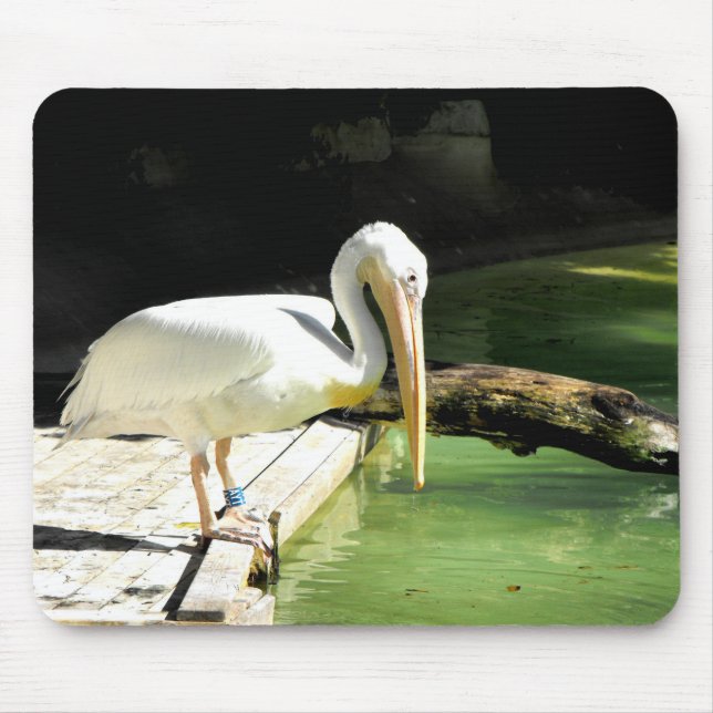 Tapis De Souris Pélican (Devant)