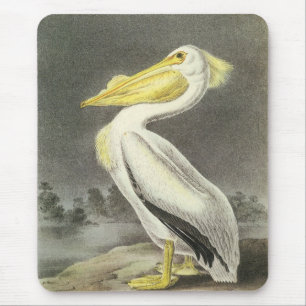 Tapis De Souris Pélican blanc américain par Audubon