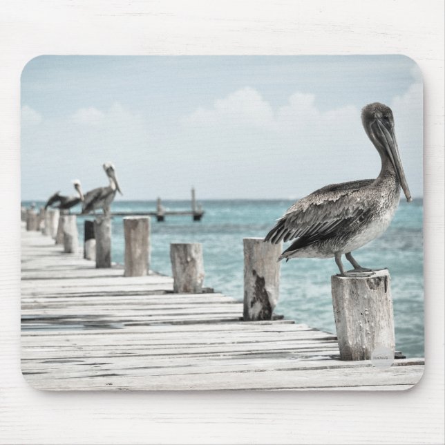 Tapis De Souris Pélicans à quai Pad HAMbyWG (Devant)