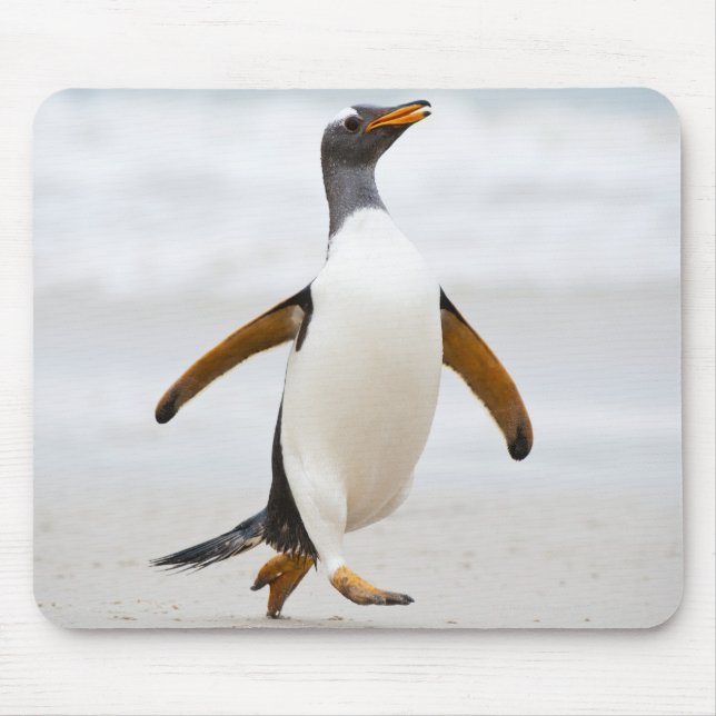 Tapis De Souris Penguin Gentoo (Devant)