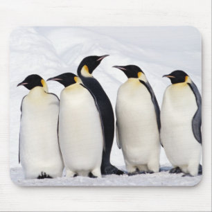 Tapis De Souris Penguins empereurs