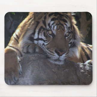 Tapis De Souris Pensée profonde