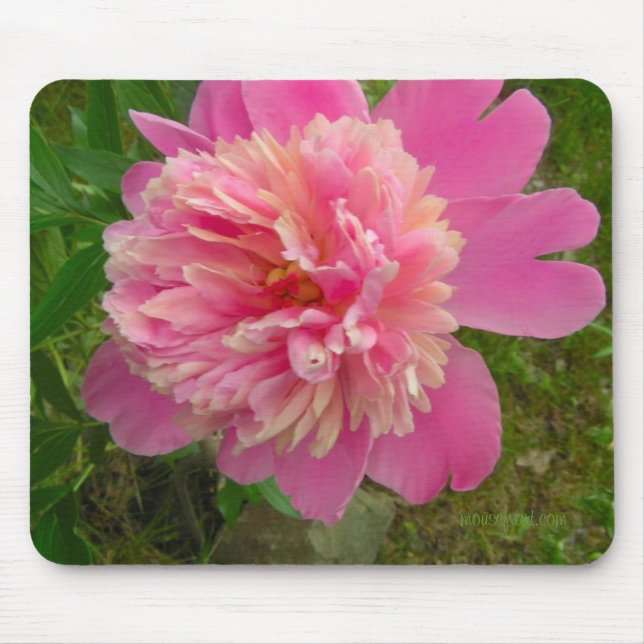 Tapis De Souris Peony Mousepad (Devant)