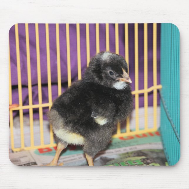 Tapis De Souris Pep (Devant)