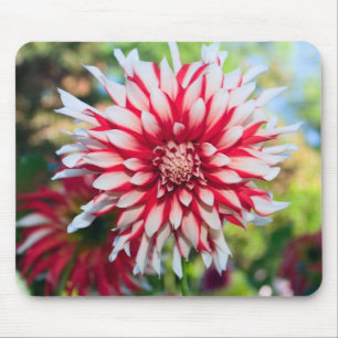 Tapis De Souris Pepperment Dahlia Mousepad